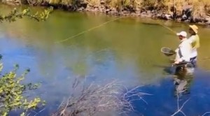 tips memancing ikan di sungai