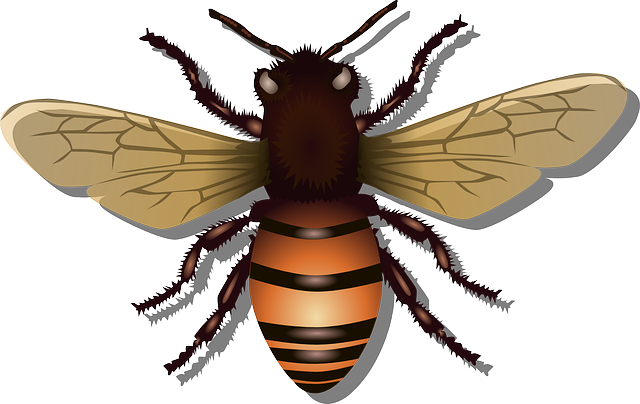 lebah madu