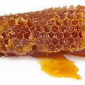 Propolis lebah madu