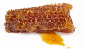 Propolis lebah madu